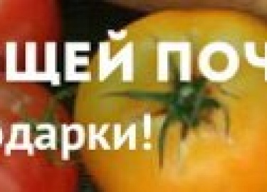 Как сделать вазу из цемента и ткани. Какие материалы и инвентарь для этого нужны. Пошаговое изготовление вазы. Декори...
